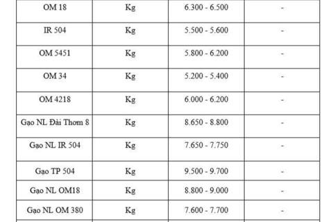 Giá lúa gạo hôm nay ngày 3/2/2026: Giao dịch chậm cận Tết