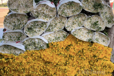 Không khí khẩn trương tại làng hoa Tây Tựu ngày giáp Tết