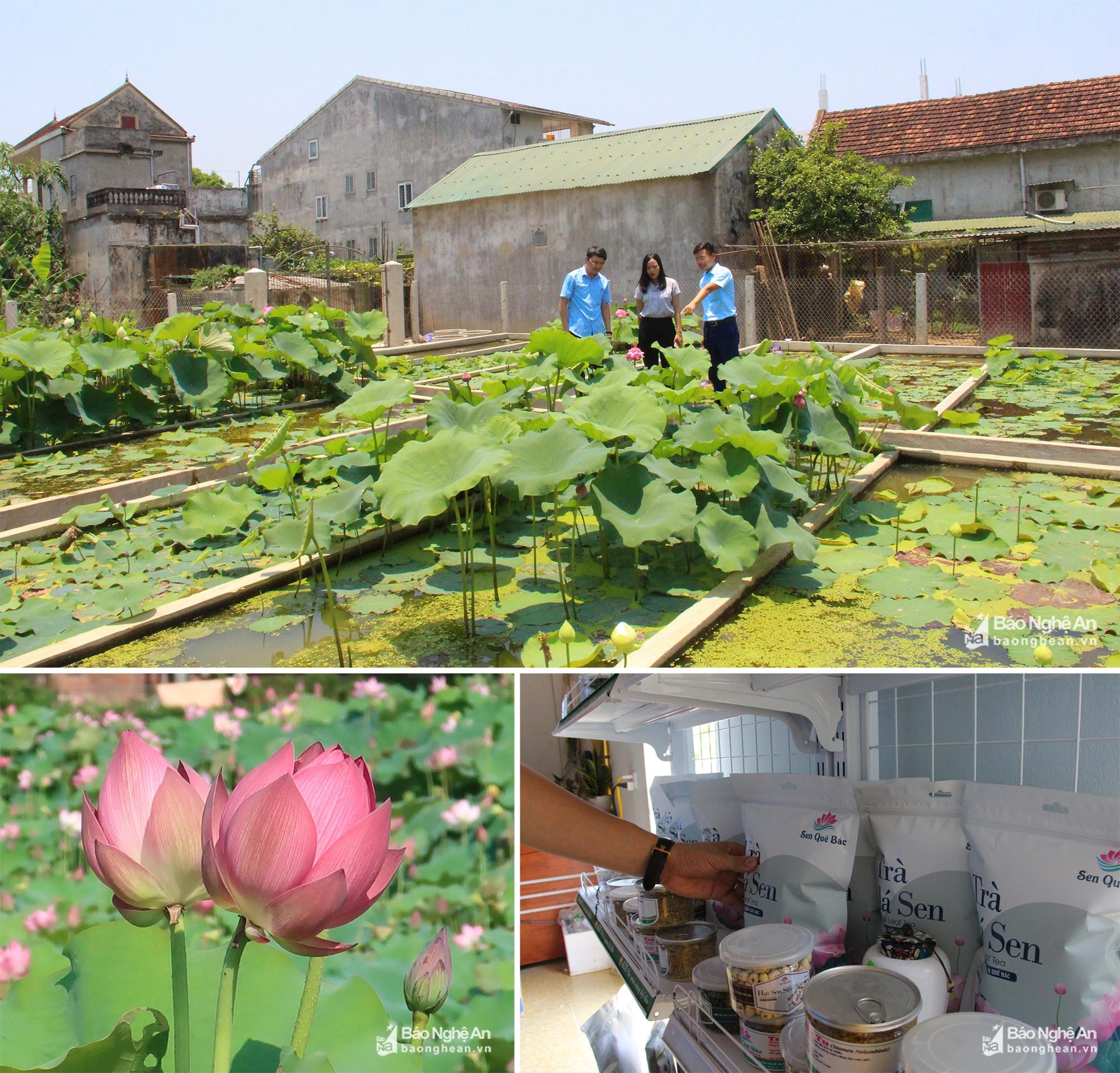 Quyết tâm xây dựng xã Kim Liên giàu mạnh, văn minh