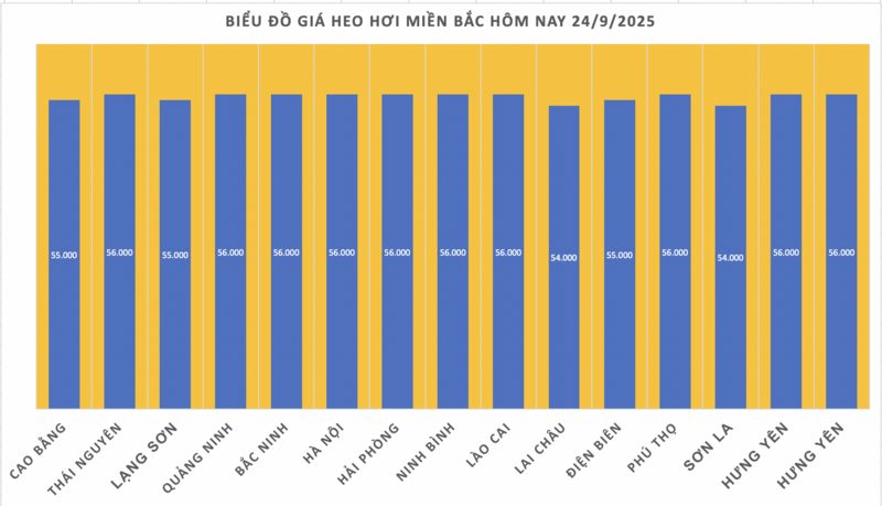 Giá heo hơi hôm nay 24/9/2025: Tiếp tục giảm nhẹ  - 1