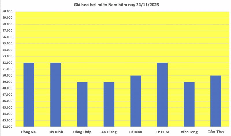Giá heo hơi hôm nay 24/11/2025: Đi ngang cả 3 miền - 3