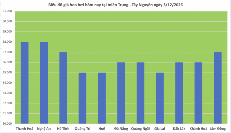 Giá heo hơi hôm nay 3/12/2025: Tăng mạnh đến 4.000 đồng/kg - 2