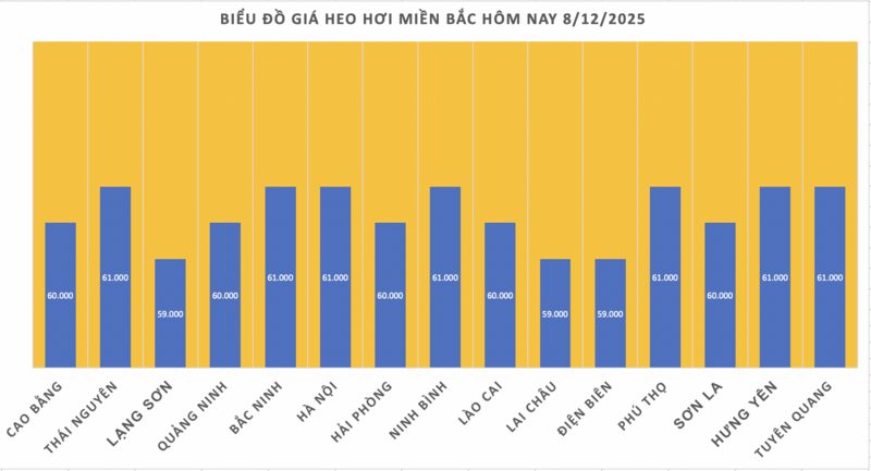 Giá heo hơi hôm nay 8/12/2025: Kéo dài đà tăng - 1