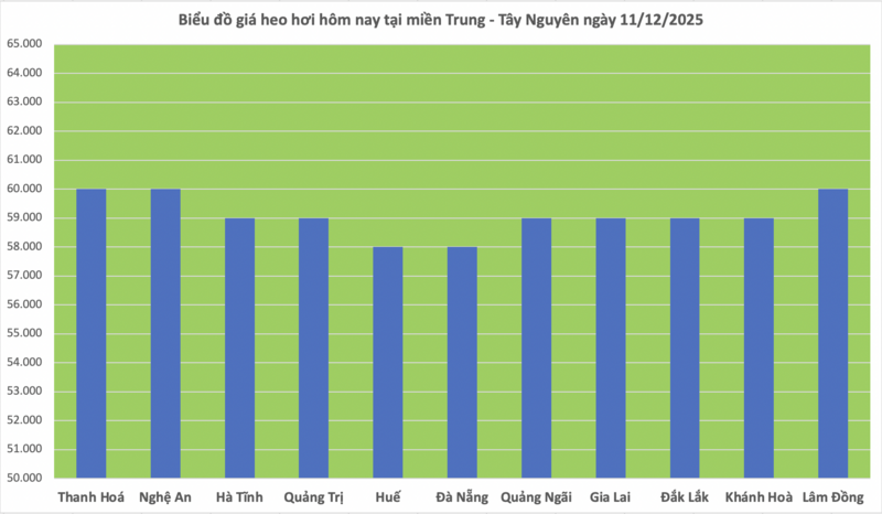Giá heo hơi hôm nay 11/12/2025: Tăng trở lại - 2