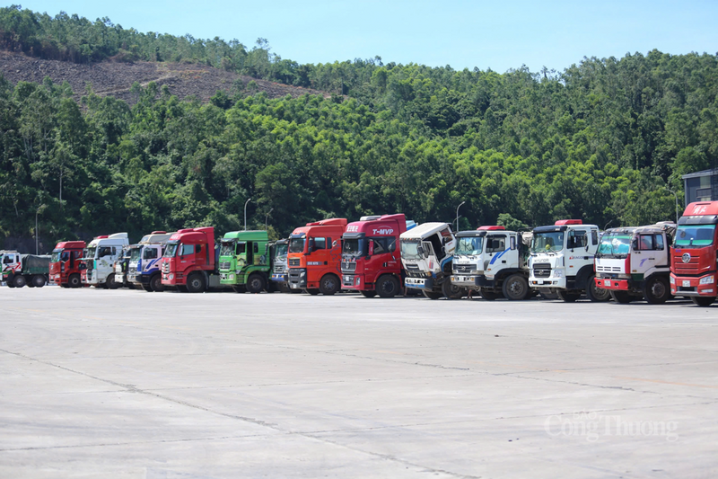 Hà Tĩnh khuyến khích các nhà đầu tư vệ tinh tham gia vào chuỗi cung ứng của các tập đoàn lớn, nhằm tạo nên một hệ sinh thái công nghiệp khép kín, đa giá trị tại Vũng Áng. Ảnh: Trọng Tùng
