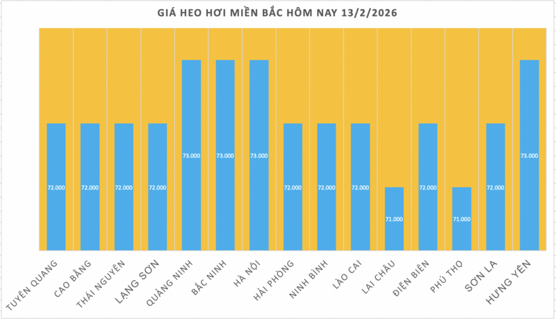 Giá heo hơi hôm nay 13/2/2026: Thị trường trầm lắng - 1