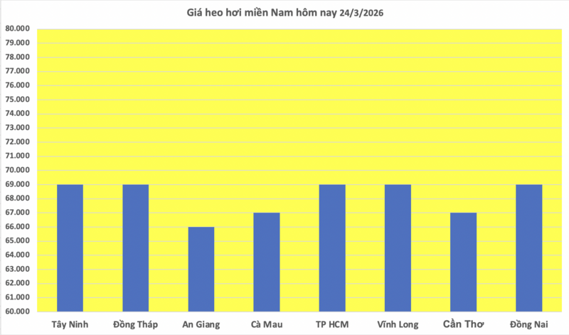 Giá heo hơi hôm nay 24/3/2026: Giảm diện rộng tại miền Bắc - 3