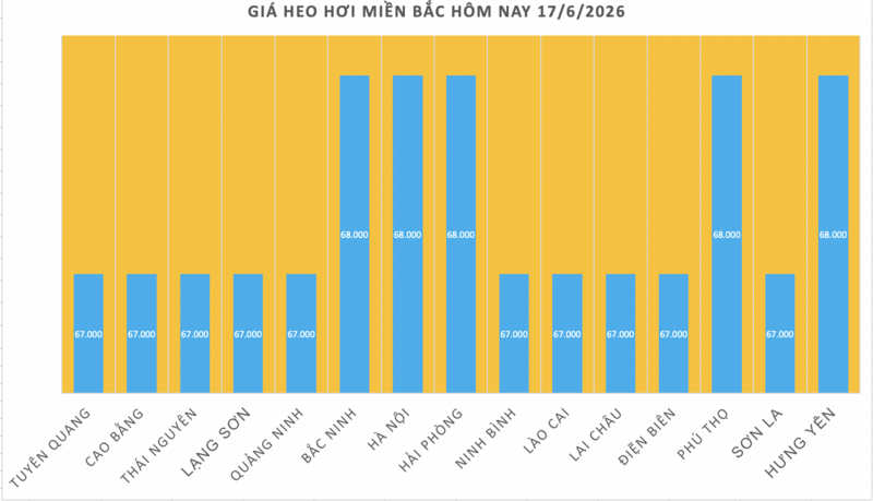 Giá heo hơi hôm nay 17/6/2026: Thị trường tạm chững - 1