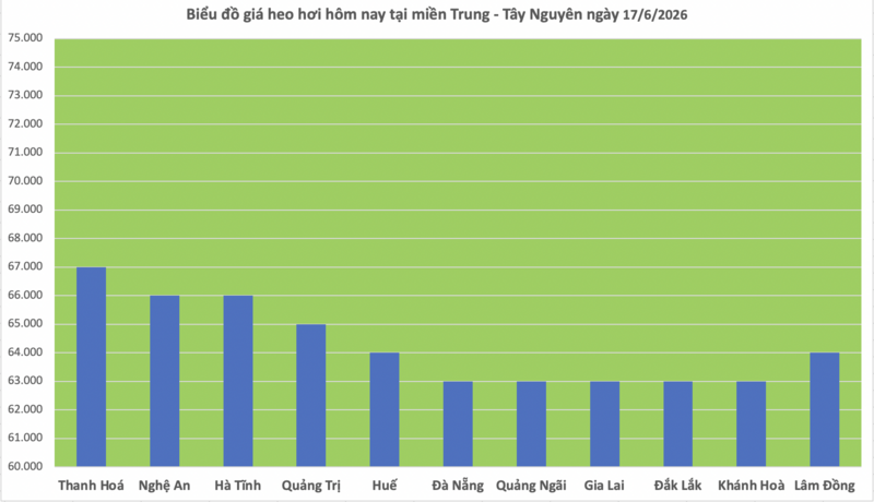 Giá heo hơi hôm nay 17/6/2026: Thị trường tạm chững - 2