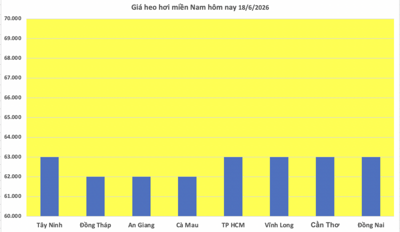 Giá heo hơi hôm nay 18/6/2026: Giảm cục bộ tại miền Trung và miền Nam - 3