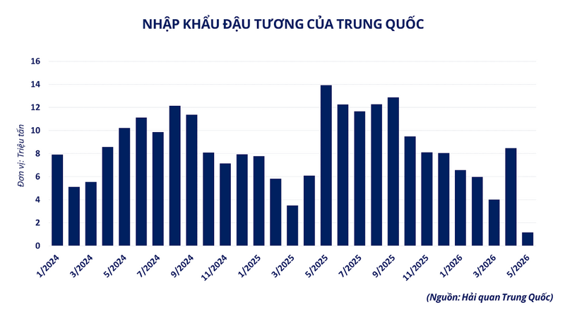 Nhập khẩu đậu tương tại Trung Quốc. Nguồn: MXV