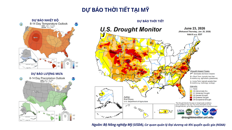 Dự báo thời tiết tại Mỹ. Nguồn: MXV