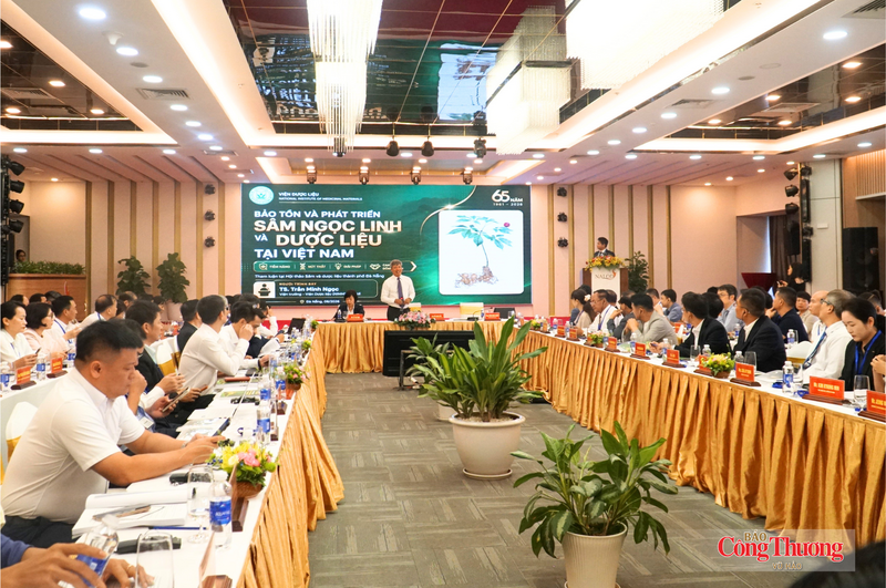 Hội thảo khoa học quốc tế: Sâm Ngọc Linh - Từ sản phẩm quốc gia tới thương hiệu toàn cầu.
