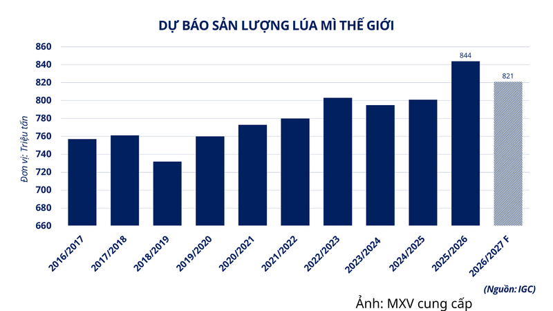 Dự báo sản lượng lúa mì thế giới