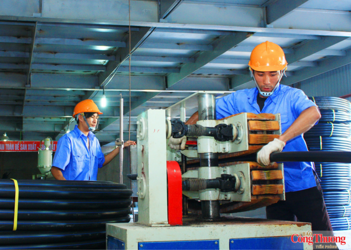 Ngành nhựa Việt Nam đang đứng trước yêu cầu nâng cao giá trị sản xuất, sử dụng hiệu quả tài nguyên và đẩy mạnh kinh tế tuần hoàn.