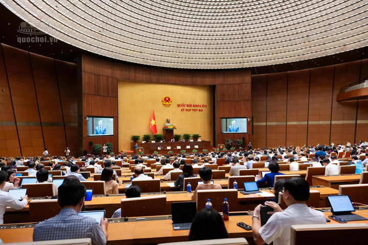 Toàn cảnh phiên họp.