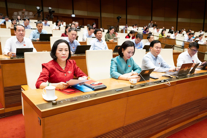 Các đại biểu dự kỳ họp.