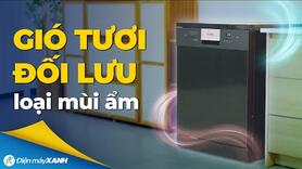 MÁY RỬA CHÉN có KHÍ TƯƠI đối lưu, say bye mùi ẩm mốc chén đĩa!