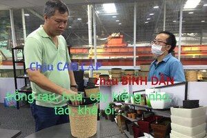 Đột nhập thế giới chậu cây - bình dân, cao cấp | THÍCH TRỒNG CÂY TV