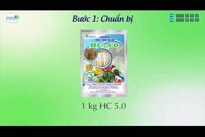 Hướng dẫn sử dụng phân bón rễ HC-5.0 (GAA-24)
