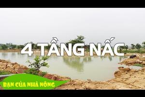 Chia sẻ bà con quy tình xây dựng mô hình 4 tầng nấc - Lối đi mới cho hộ gia dình có vườn và ao