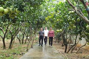 Thủ đô kháng chiến “chuyển mình” cùng nông thôn mới