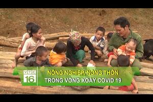 Nông nghiệp, nông thôn trong vòng xoáy Covid-19 | VTC16
