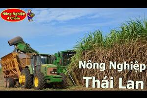 Khám Phá Nông Nghiệp Thái Lan - Có Xịn Sò Hơn Việt Nam?