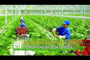 Kinh tế nông nghiệp và bài toán thích ứng đại dịch Covid-19 | VTC16