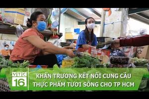 Khẩn trương kết nối cung cầu thực phẩm tươi sống cho TP HCM | VTC16