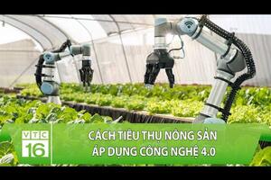 Cách tiêu thụ nông sản áp dụng công nghệ 4.0 | VTC16