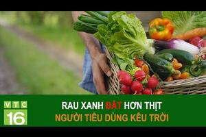 Rau xanh đắt hơn thịt: Người tiêu dùng kêu trời | VTC16
