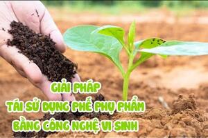 Giải Pháp Tái Sử Dụng Phế Phụ Phẩm Bằng Công Nghệ Vi Sinh