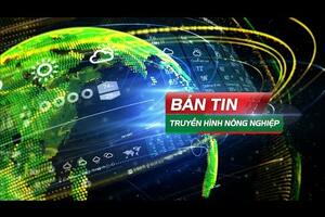 Trái cây lạ khó tìm đầu ra