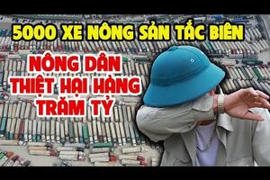 Gần 5000 Xe Nông Sản Việt Bị Tắc Ở Cửa Khẩu Khiến Nông Dân Việt Thiệt Hại Hàng Trăm Tỷ