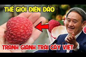 Tự Hào Top 5 Trái Cây Việt Nam Gây Sốt Toàn Cầu Người Nước Ngoài Tranh Nhau Mua
