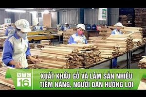 Xuất khẩu gỗ và lâm sản nhiều tiềm năng, người dân hưởng lợi | VTC16
