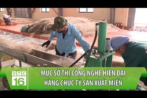 Mục sở thị công nghệ hiện đại hàng chục tỷ sản xuất miến | VTC16