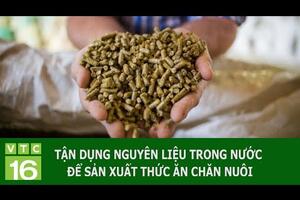 Tận dụng nguyên liệu trong nước để sản xuất thức ăn chăn nuôi