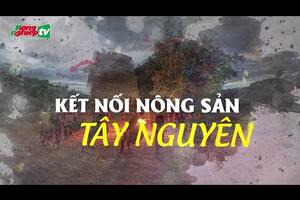 Kết nối tiêu thụ nông sản Tây Nguyên