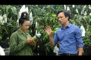 Nông dân chuyển đổi nhận thức dùng phân bón hữu cơ cho cây ăn quả