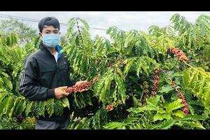 Người Ba Na nói không với phân bón hóa học