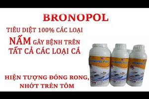 Hóa chất đặc trị "nấm" PRONOLPO trong ao nuôi thủy sản