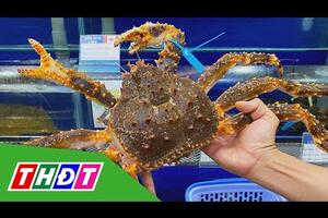 Cua hoàng đế giá cao kỷ lục | THDT