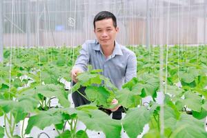 Mở cơ hội ứng dụng công nghệ trong HTX nông nghiệp