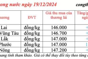 Giá tiêu hôm nay 19/12/2024: Giá tiêu trong nước hôm nay đồng loạt tăng