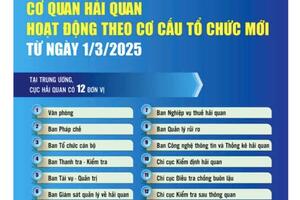 Bộ Tài chính bổ nhiệm 3 Phó Cục trưởng Cục Hải quan