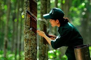 Cổ phiếu ‘vàng trắng’ kỳ vọng nối dài đà tăng