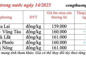 Giá tiêu hôm nay 14/3/2025 duy trì mức tăng