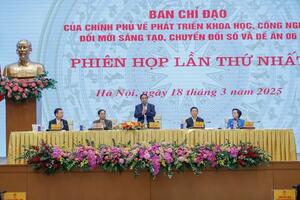 Thủ tướng: Không để 'rừng thủ tục' cản trở  người dân, doanh nghiệp